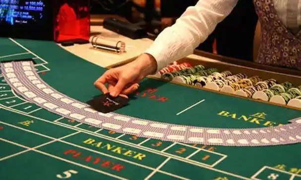 Màn hình sportsbook bóng đá và cầu lông trực tiếp trên ứng dụng jin88 mobile